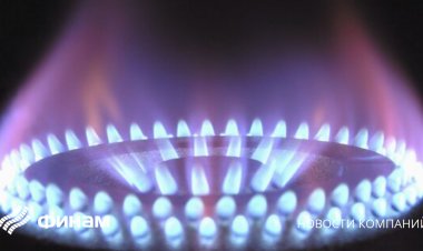 Глава Минфина ФРГ посоветовал компаниям не соглашаться на оплату поставок газа в рублях