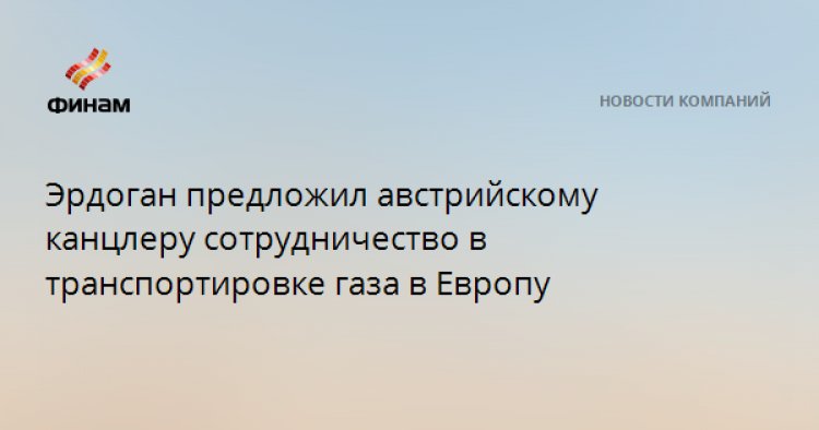 Эрдоган предложил австрийскому канцлеру сотрудничество в транспортировке газа в Европу