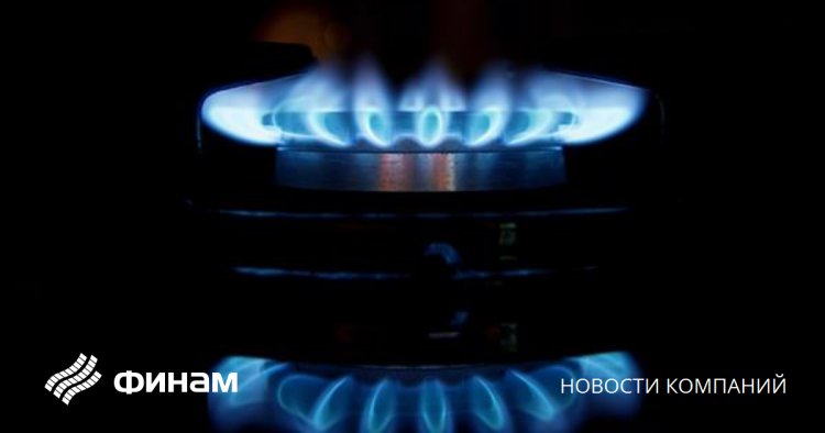 Без импорта газа из России Германия едва ли продержится ближайшие две зимы - глава E.ON