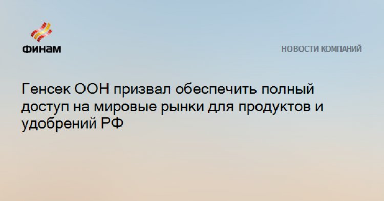 Генсек ООН призвал обеспечить полный доступ на мировые рынки для продуктов и удобрений РФ