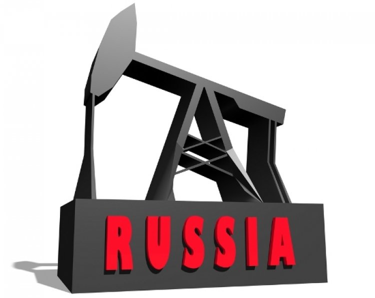 Британия запрещает транспортировку российской нефти, купленной по цене выше «потолка»