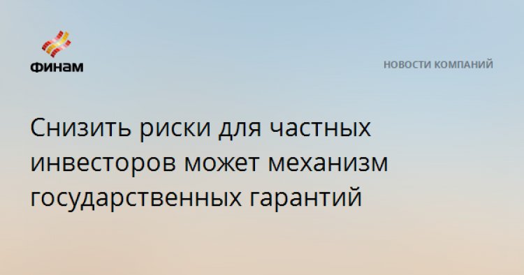 Снизить риски для частных инвесторов может механизм государственных гарантий