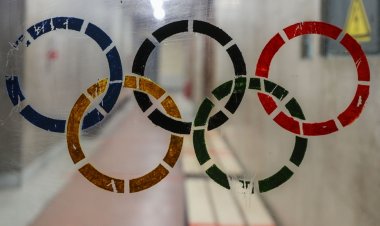 Кабмин РФ утвердил денежные награды призерам Олимпиады-2024