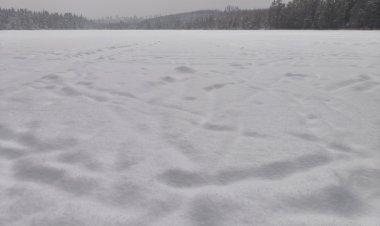 Прохожий в Нижнем Новгороде вытащил из ледяной Оки трехлетнюю девочку