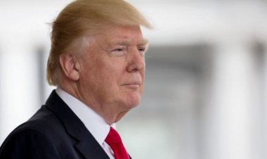 «Здравомыслящая»: Трампа похвалили за позицию по новым регионам России