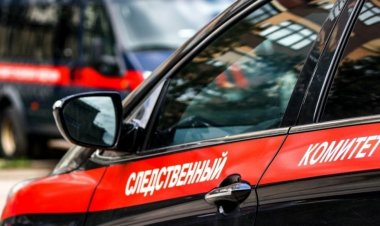 СК РФ даст правовую оценку заявлению чешского сенатора о блокаде Ленинграда