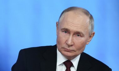 Путин двумя словами описал работу Хинштейна в Курской области