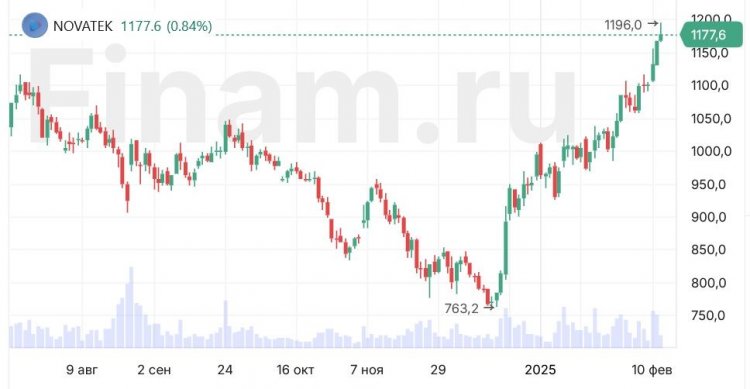 Чистая прибыль «НОВАТЭКа» по МСФО за 2024 год выросла на 6,6%