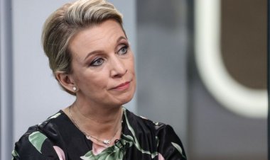 Захарова раскрыла реальную цель ВСУ под Курском после признания Зеленского