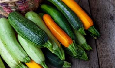 Рецепт для похудения: салат с кабачками и чесноком. Едим — и вес уходит
